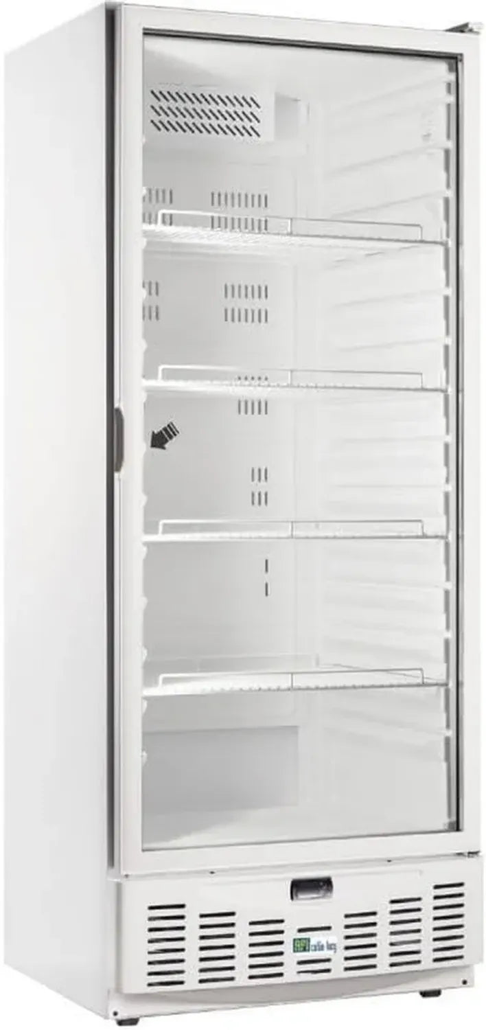 Réfrigérateur Professionnel en Acier avec Porte en Verre - 540L