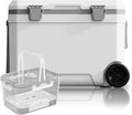 Glacière Isotherme à Roulettes 45L – Mobile et Robuste avec Loquets Métalliques